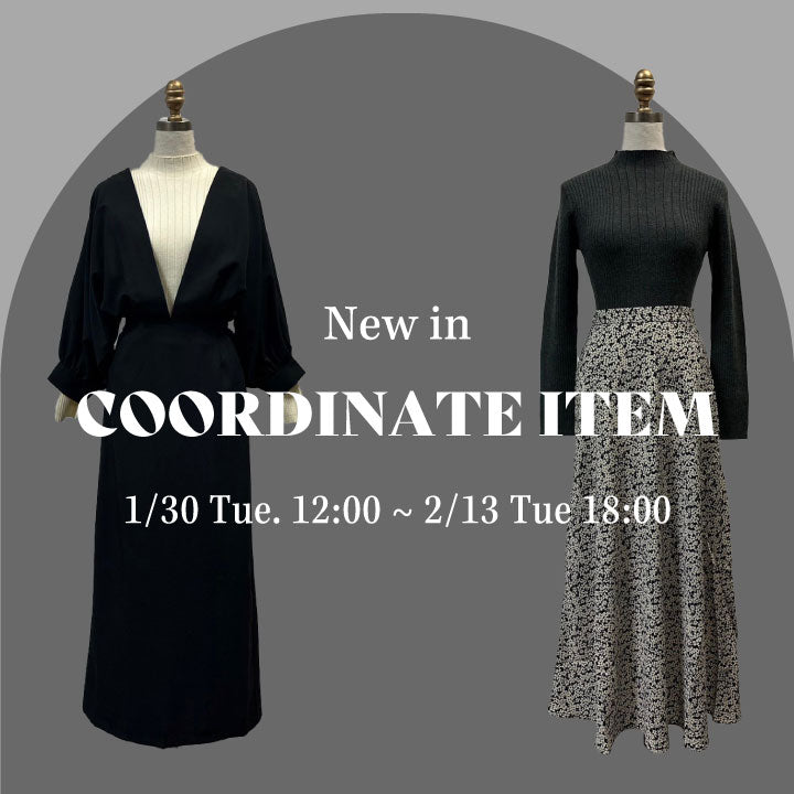 新作コーディネートアイテム登場！
