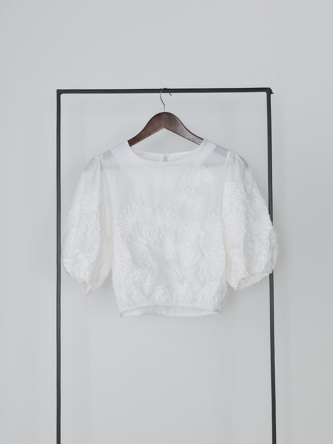 テープ刺繍コットンパフスリーブブラウス